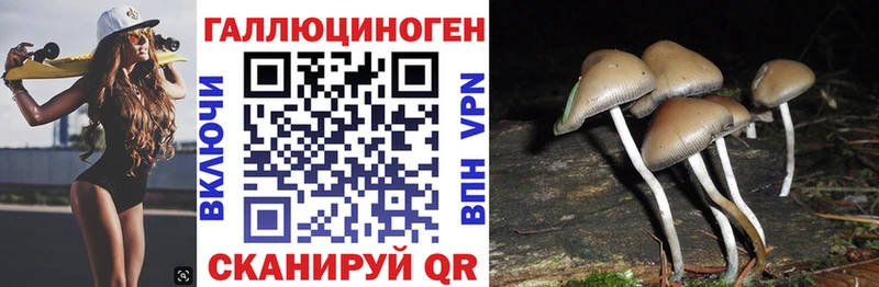 Купить где  Иннополис  Галлюциногенные грибы GOLDEN TEACHER 